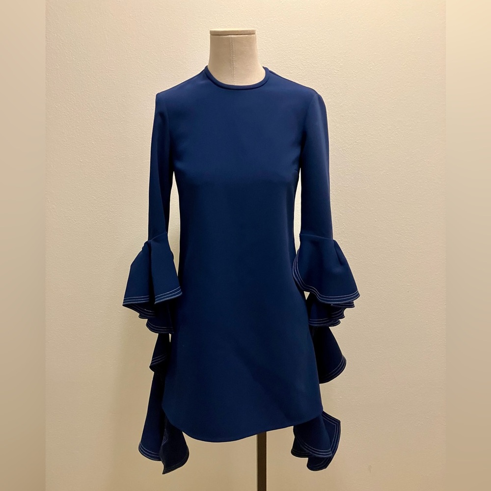 Ellery’s Kilkenny Ruffle Sleeve Mini Dress